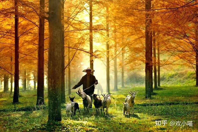 恩施全民补硒(恩施秘境美景)-硒宝网