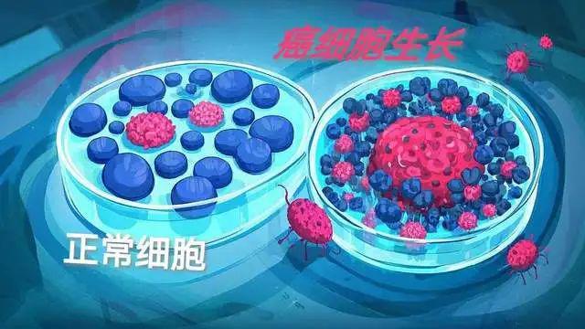 防癌抗老补硒(癌症预防策略研究)-硒宝网