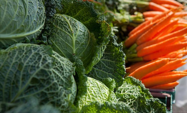 哪种蘑菇补硒(蘑菇硒元素营养)-硒宝网