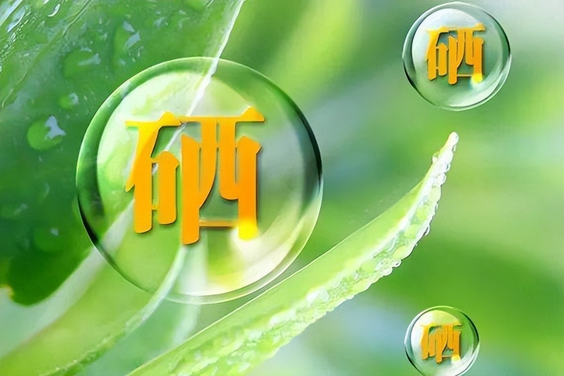 哪种蘑菇补硒(蘑菇硒元素营养)-硒宝网