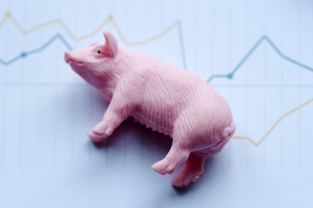 仔猪补铁补硒（仔猪预防治疗方法）-硒宝网