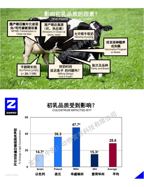 犊牛几天补硒(犊牛越冬管理技术指南)-硒宝网