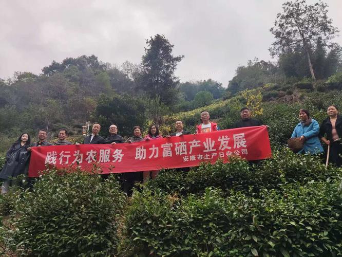 政府建议补硒（重庆江津富硒农业）-硒宝网