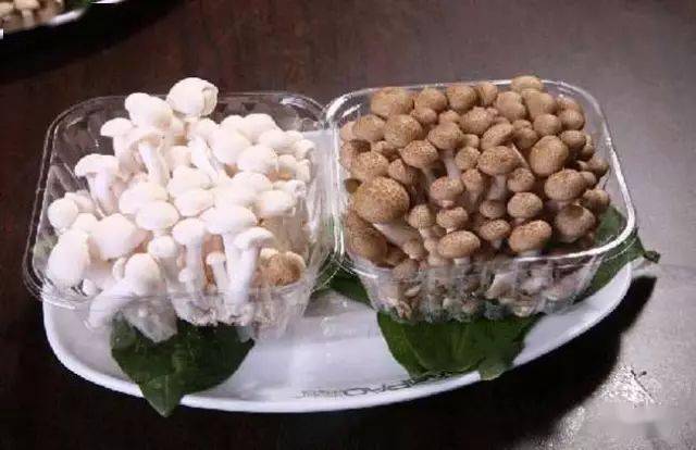 蘑菇压片补硒(食用菌图片大全)-硒宝网