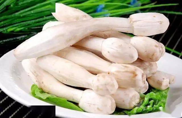 蘑菇压片补硒(食用菌图片大全)-硒宝网