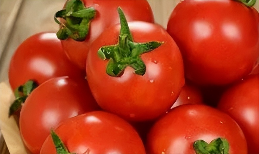 甲亢补硒母片（西红柿富硒蔬菜）-硒宝网