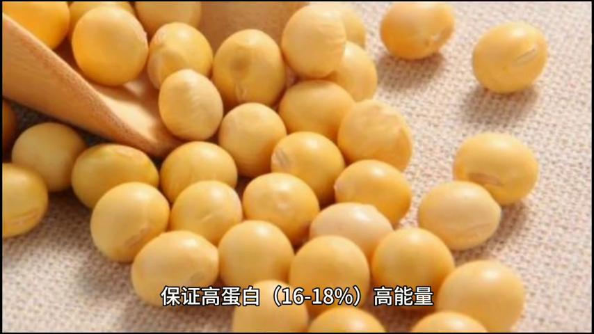 仔猪补硒技术(仔猪存活率提高)-硒宝网