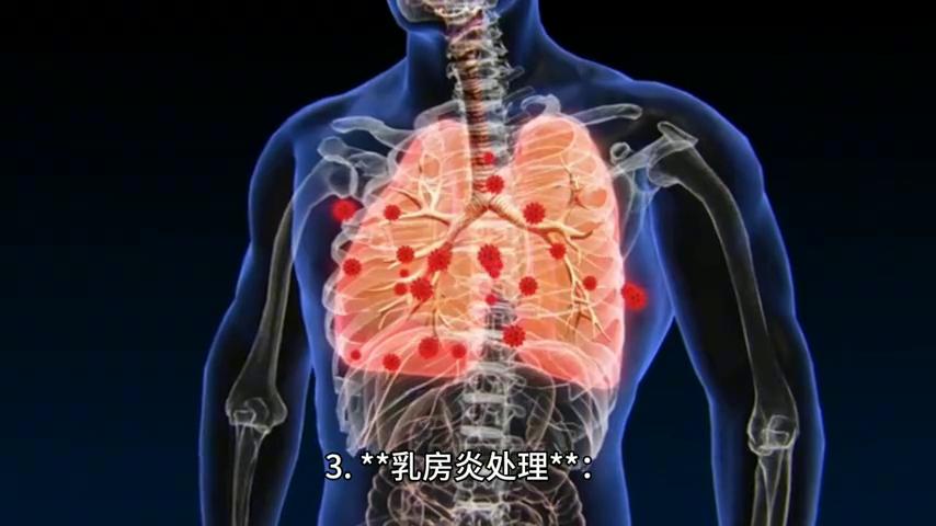 仔猪补硒技术(仔猪存活率提高)-硒宝网