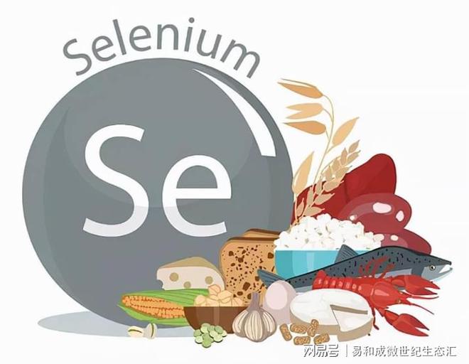 正确补硒方法(硒元素抗氧化功效)-硒宝网