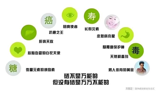 正确补硒方法(硒元素抗氧化功效)-硒宝网