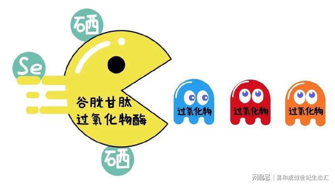 正确补硒方法(硒元素抗氧化功效)-硒宝网