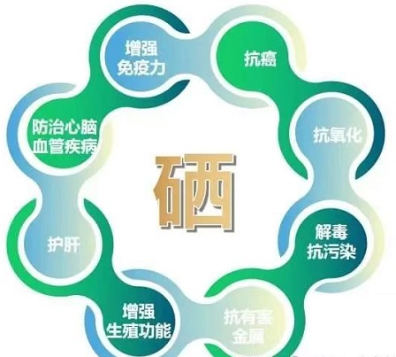 科学补硒元素(硒元素功能与作用)-硒宝网