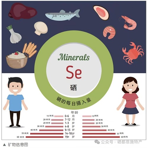 科学补硒元素(硒元素功能与作用)-硒宝网