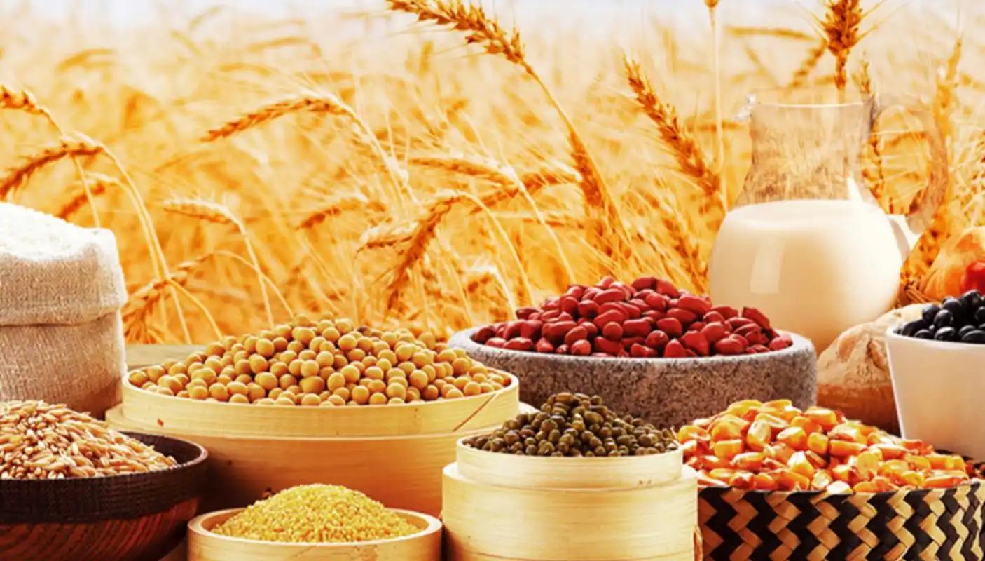 补铁补锌补硒（硒元素抗氧化）-硒宝网