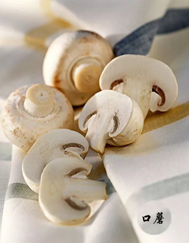 国外怎么补硒（口蘑营养价值）-硒宝网