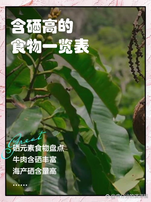 补硒一一坚果(富硒食物推荐)-硒宝网