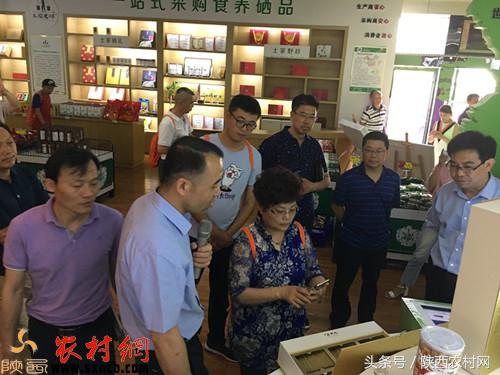 科学补硒陕西（恩施玉露制作工艺）-硒宝网