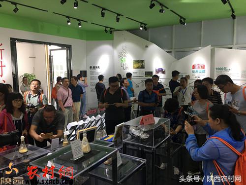 科学补硒陕西（恩施玉露制作工艺）-硒宝网