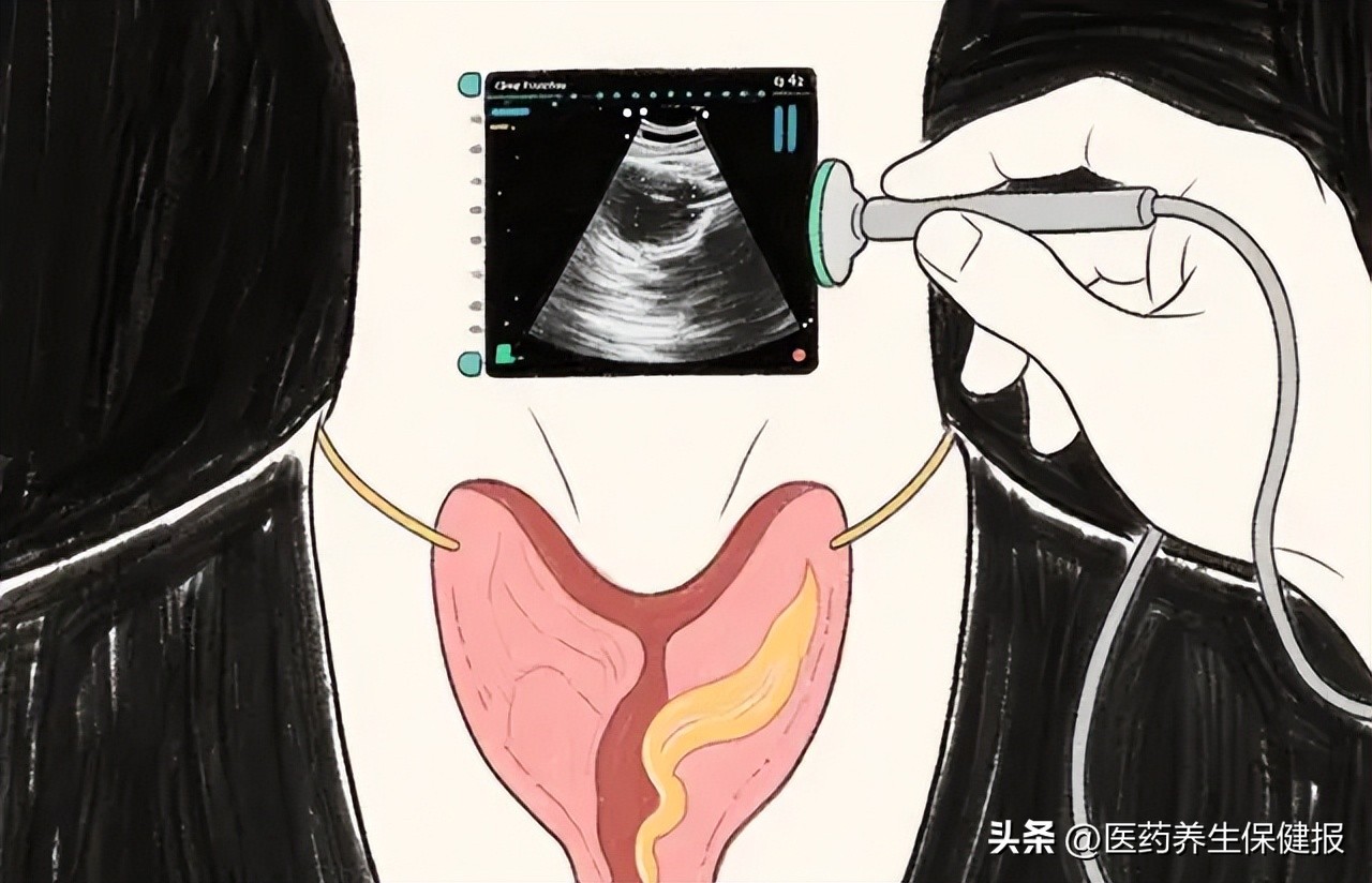 桥本补硒用量(甲状腺功能紊乱)-硒宝网