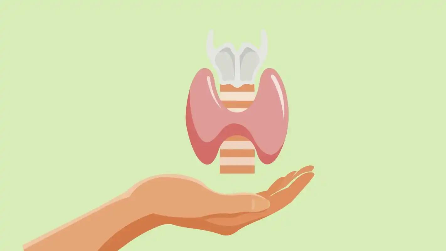 补硒水果之王(甲状腺疾病饮食调理水果选择)-硒宝网