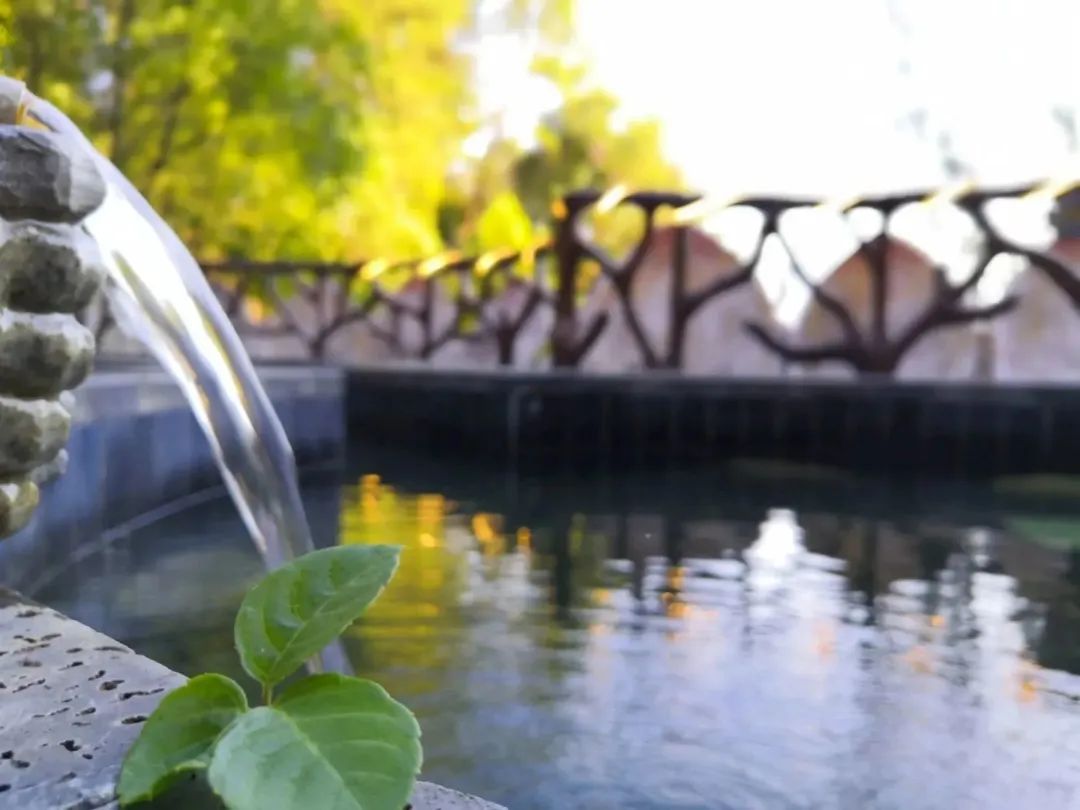 补硒治hiv（硒与病毒性疾病关系）-硒宝网