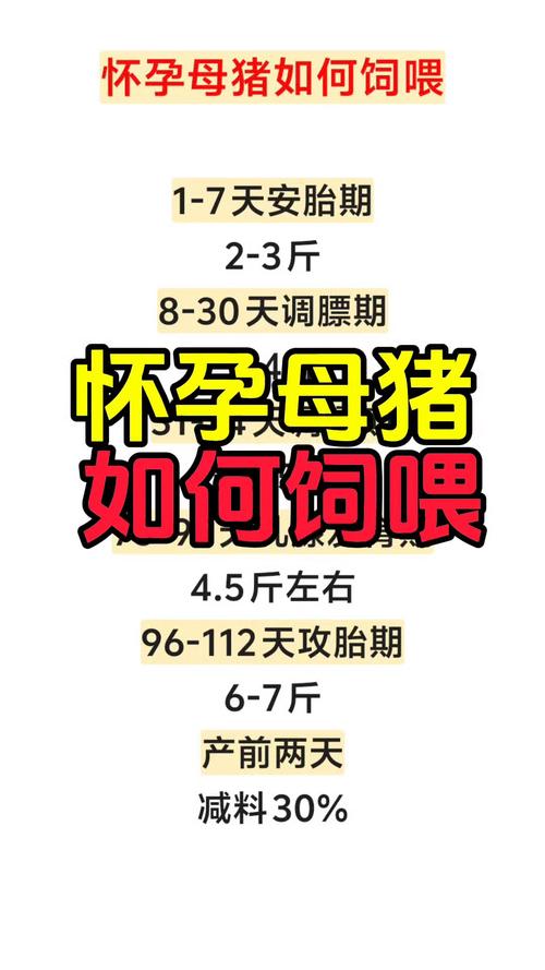 母猪补硒多少(母猪维生素缺乏影响)-硒宝网