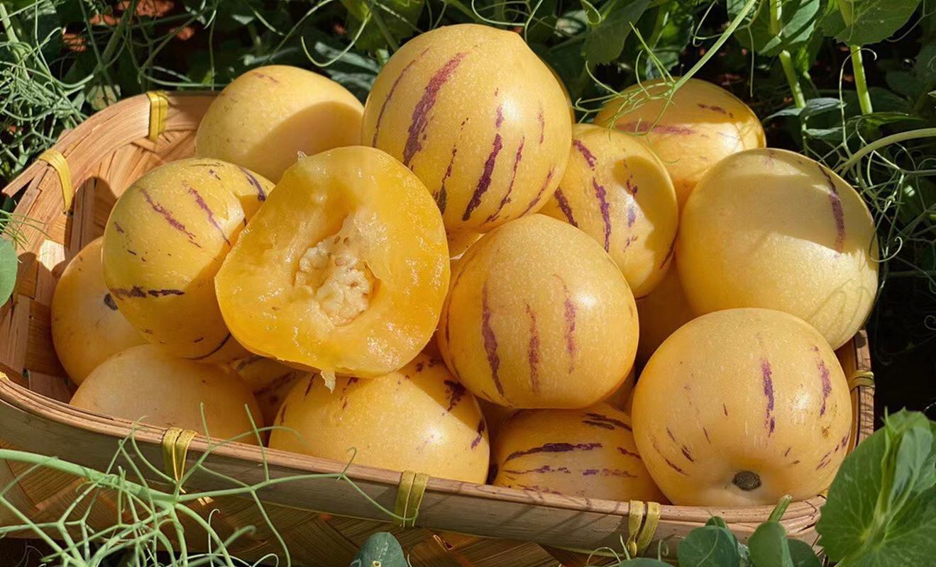 补硒水果之王（甲状腺病人硒摄入量）-硒宝网