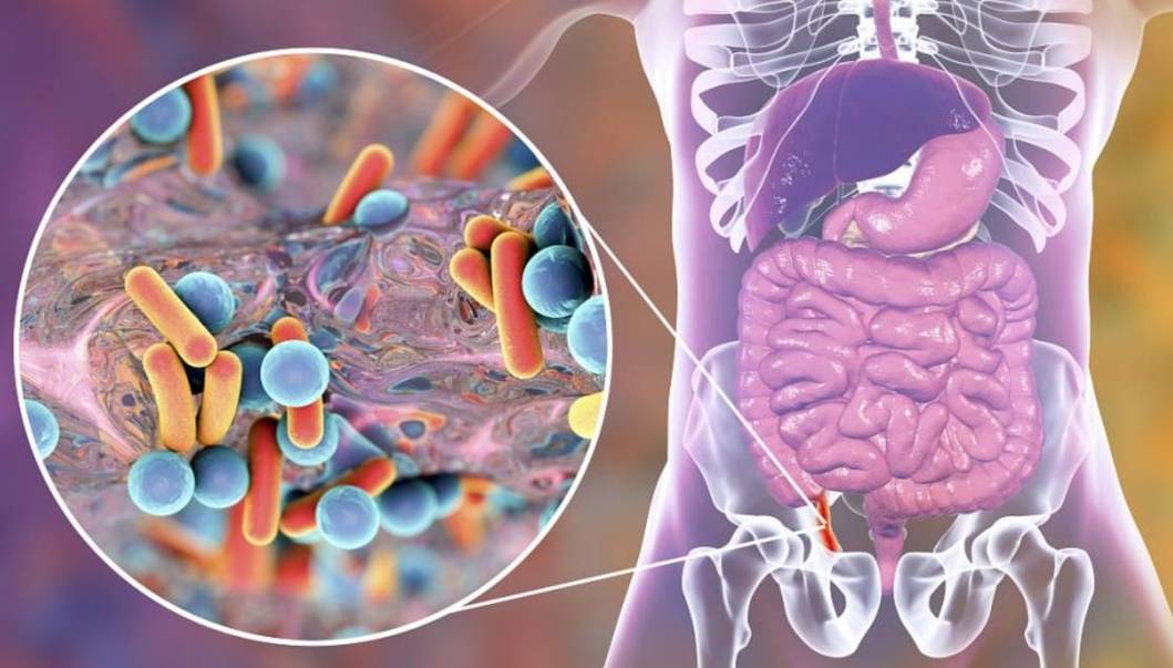 作物补硒方法（ 黑木耳补硒功效 ）-硒宝网