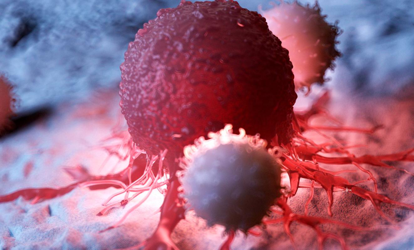 作物补硒方法（硒与癌症预防研究）-硒宝网