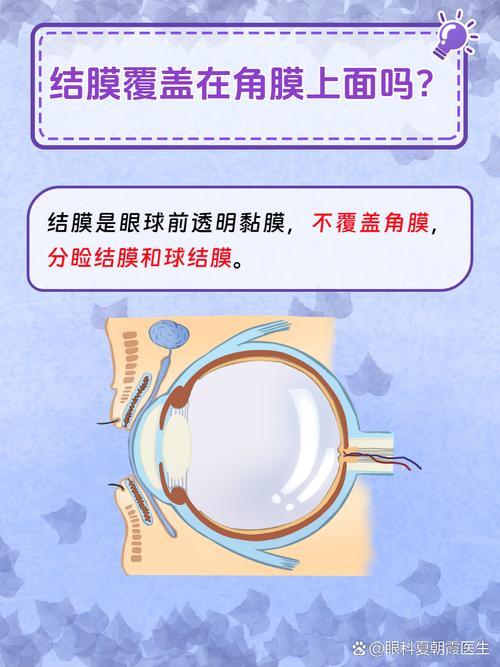 眼球突出补硒（角膜厚度与功能）-硒宝网