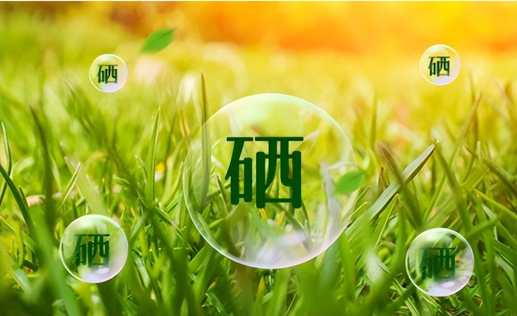 补多少硒合适(硒元素作用与食物来源)-硒宝网