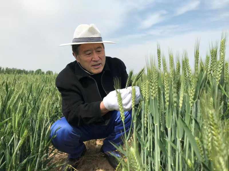 科学补硒陕西（免疫力提升与硒元素）-硒宝网