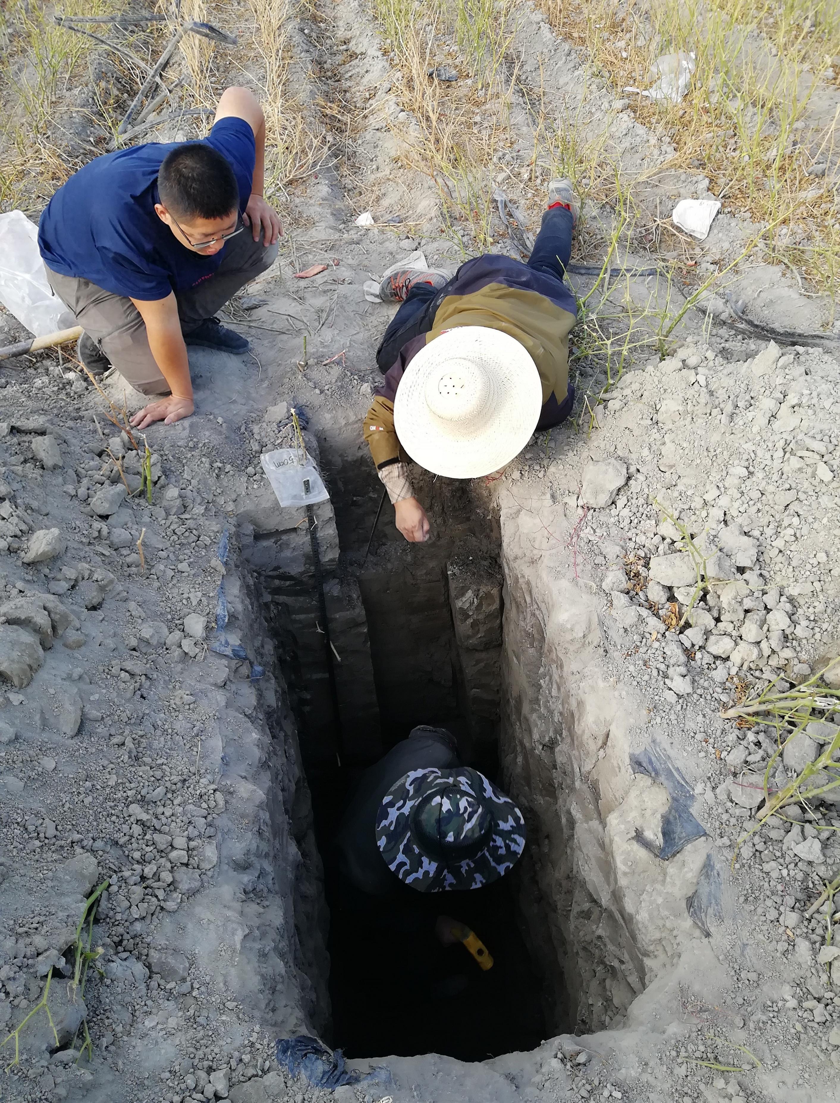 补硒成功案例(新疆富硒农产品产业链)-硒宝网