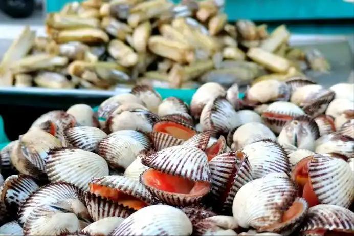 犊牛补铁补硒（硒缺乏症状与免疫力下降）-硒宝网