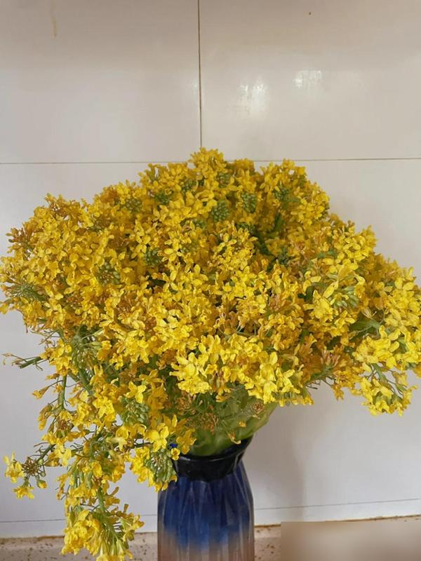 水培蔬菜补硒(厨房边角料变绿植)-硒宝网