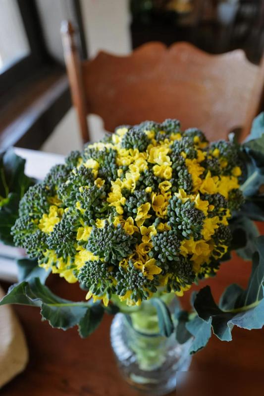 水培蔬菜补硒(厨房边角料变绿植)-硒宝网