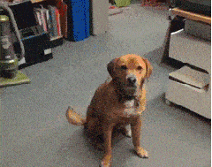 儿童补硒过多（甘肃天水幼儿园铅中毒）-硒宝网