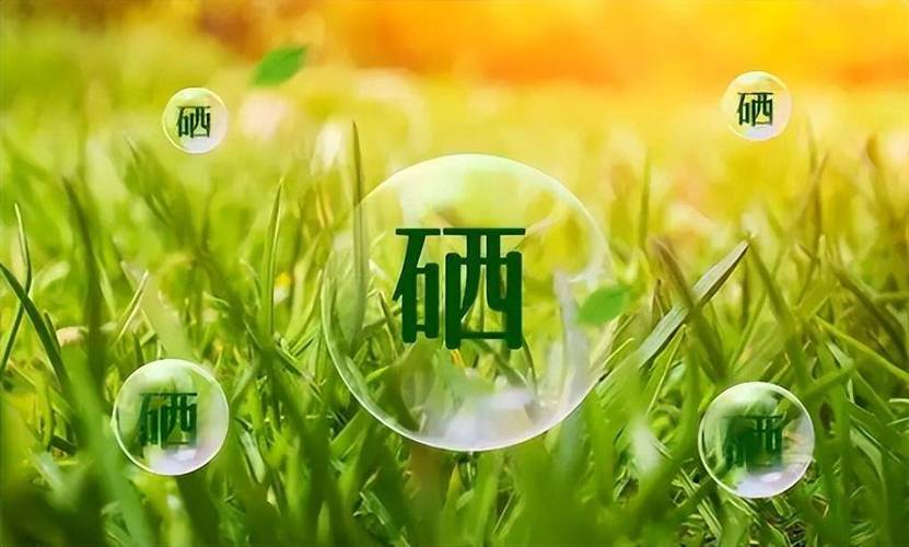 如何补硒最快(硒与癌症关系)-硒宝网