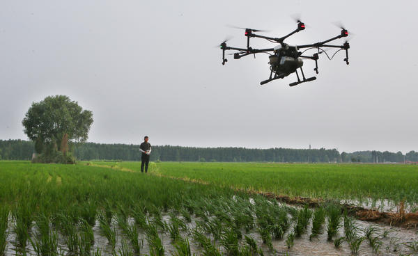 水稻如何补硒（袁小全富硒水稻养殖）-硒宝网