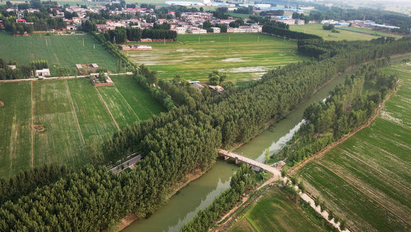 水稻如何补硒（袁小全富硒水稻养殖）-硒宝网