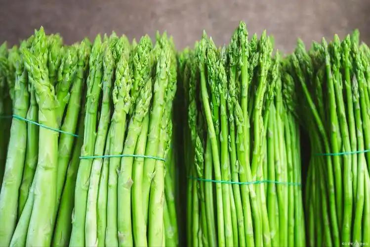 补硒海鲜推荐(芦笋杏鲍菇西兰花包菜)-硒宝网