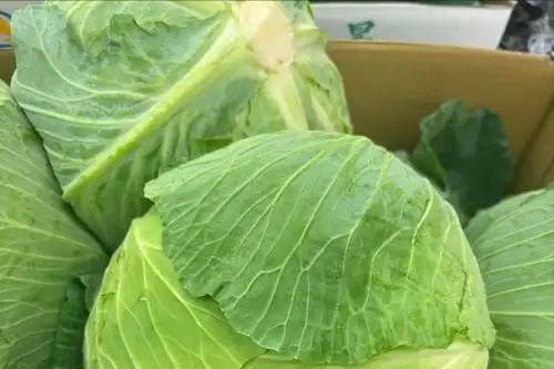 补硒海鲜推荐(芦笋杏鲍菇西兰花包菜)-硒宝网