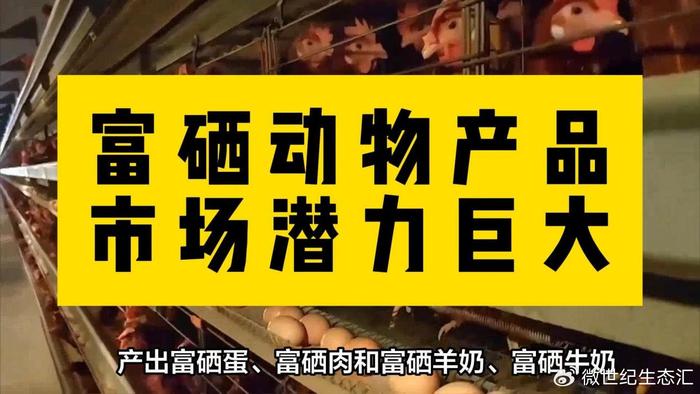 全民补硒防癌（补硒防癌抗慢性?。?硒宝网