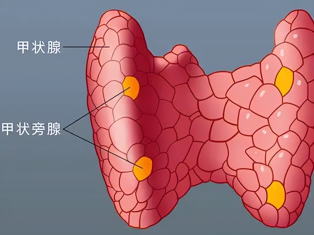 补硒帮助睡眠（硒元素对身体的作用）-硒宝网