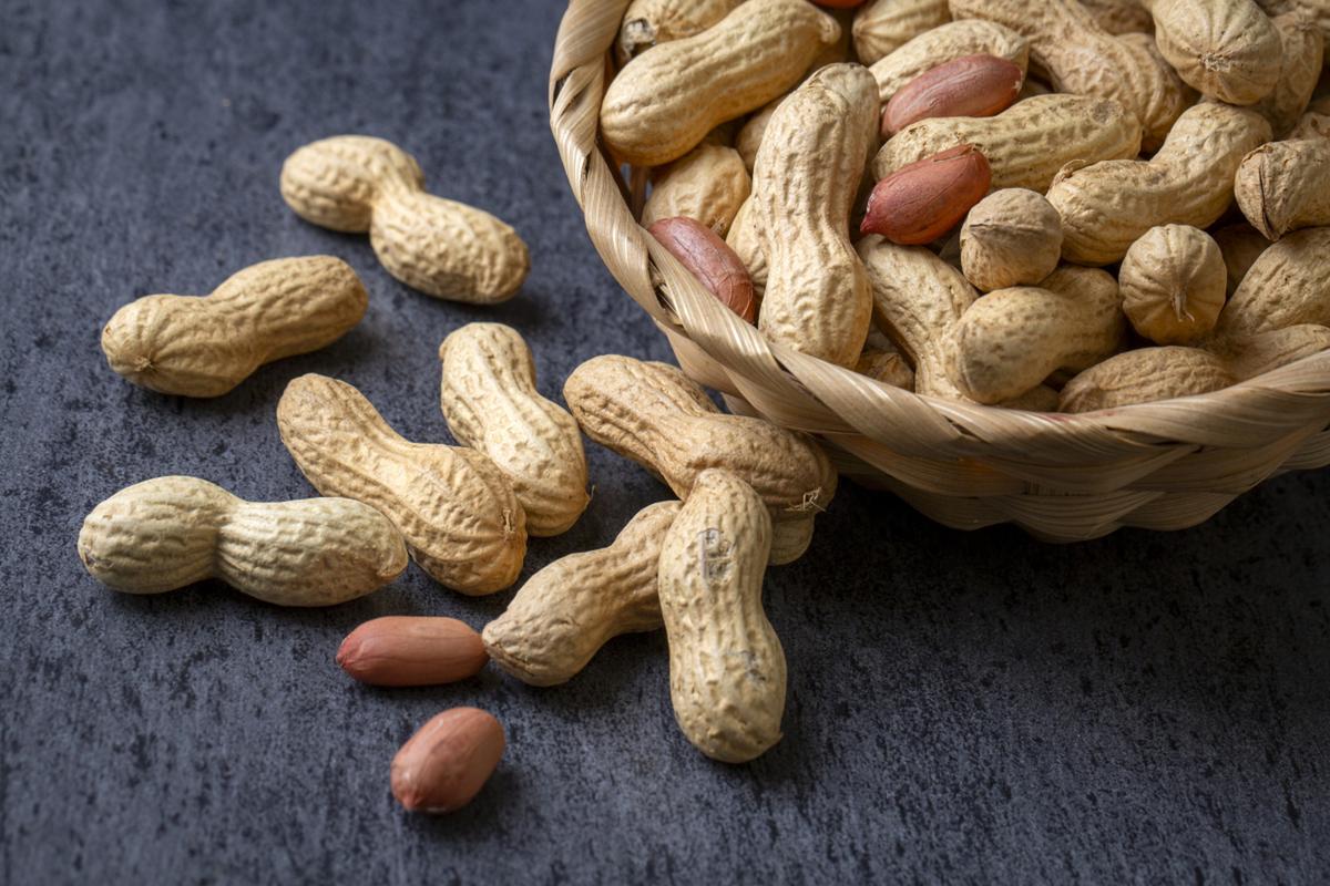 精液补锌补硒（男性补锌食物推荐）-硒宝网