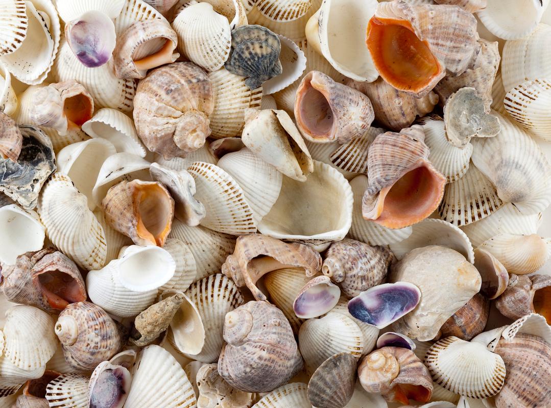 精液补锌补硒（男性补锌食物推荐）-硒宝网