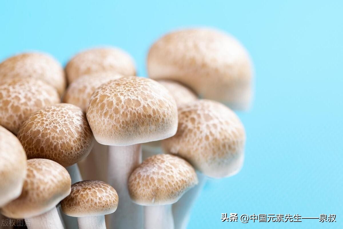 乙肝怎样补硒(锌硒镁微量元素)-硒宝网