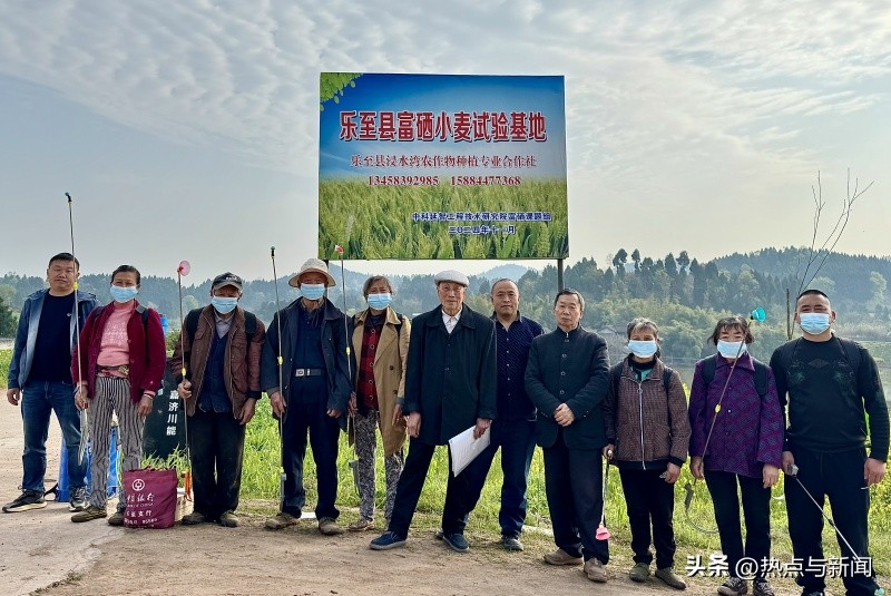 小麦怎么补硒(乐至县农业科技创新)-硒宝网