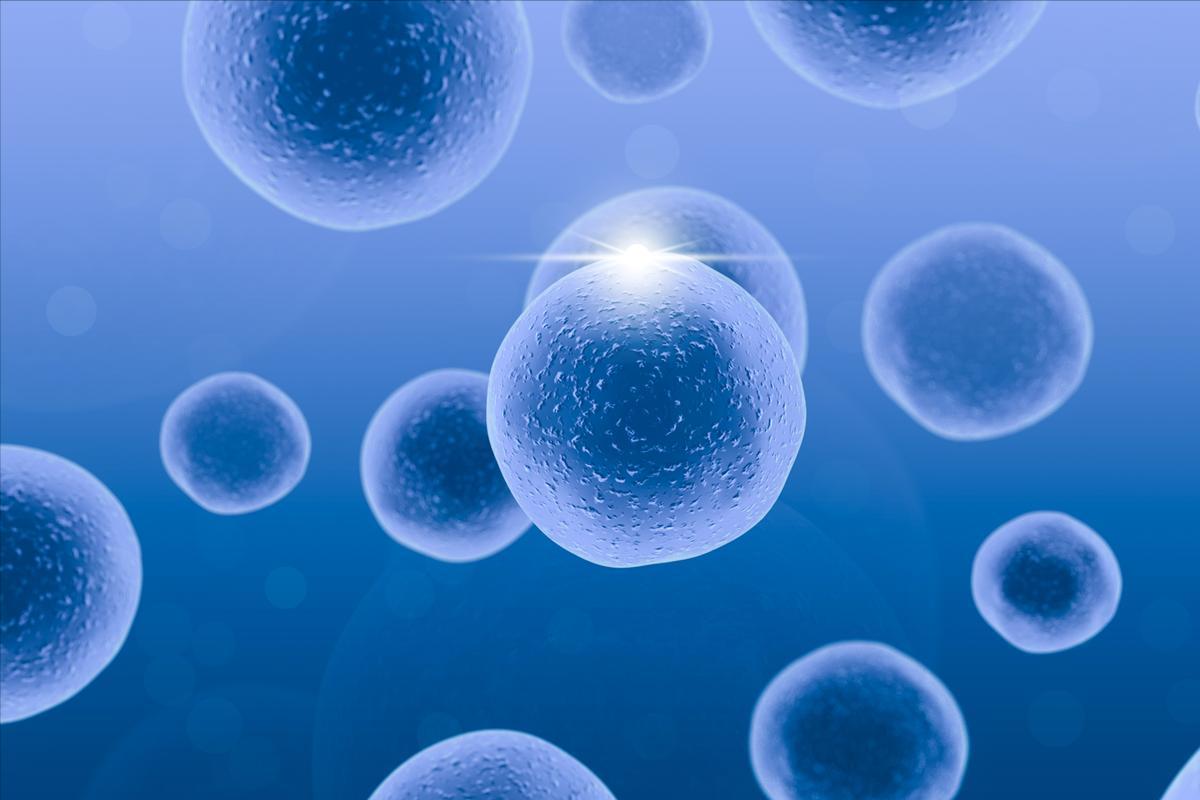 补硒功效作用（黑木耳补硒功效）-硒宝网