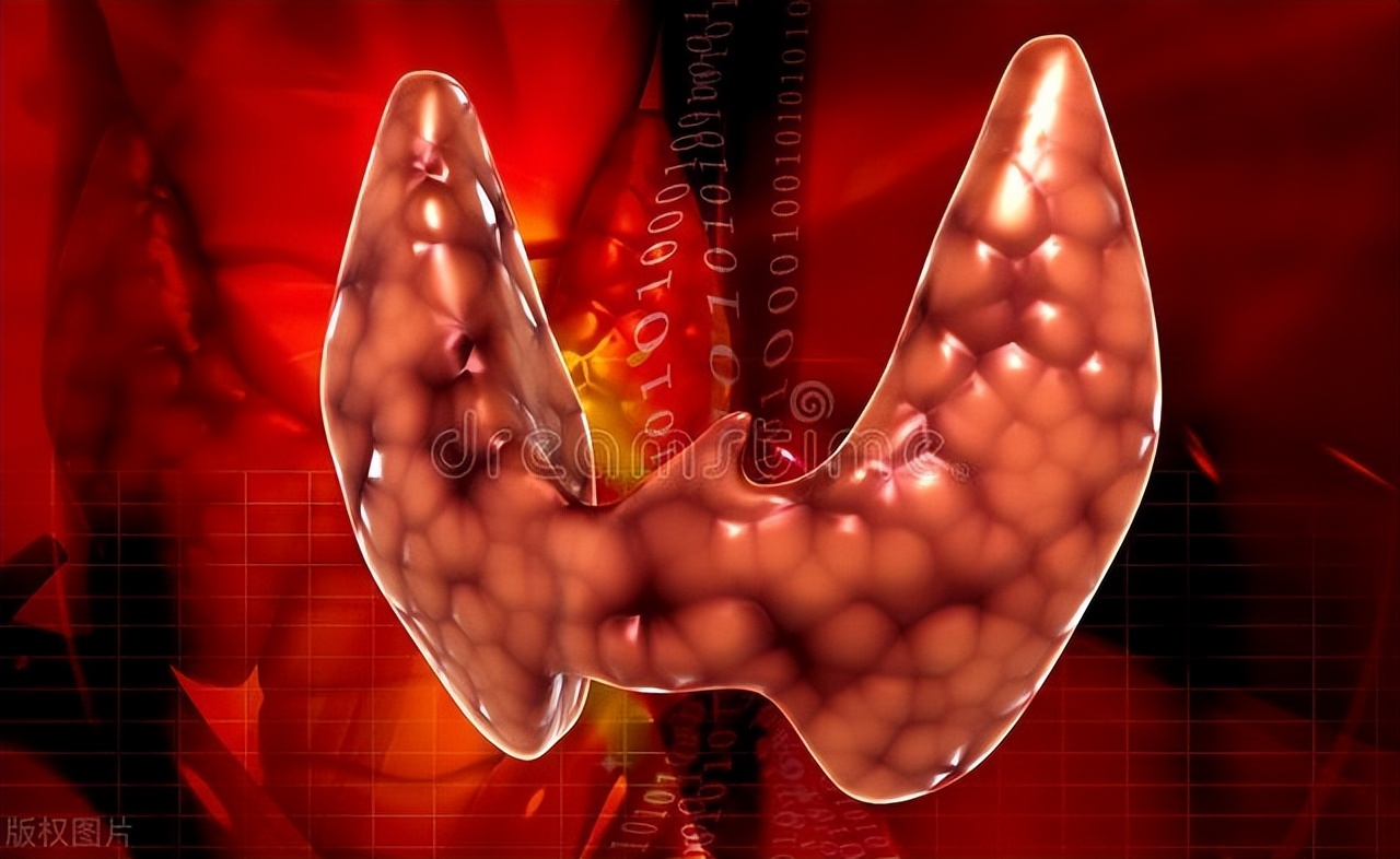 桥本如何补硒（桥本甲状腺炎症状识别）-硒宝网